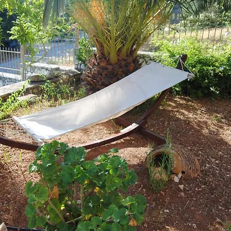 Myrtia * Divarata