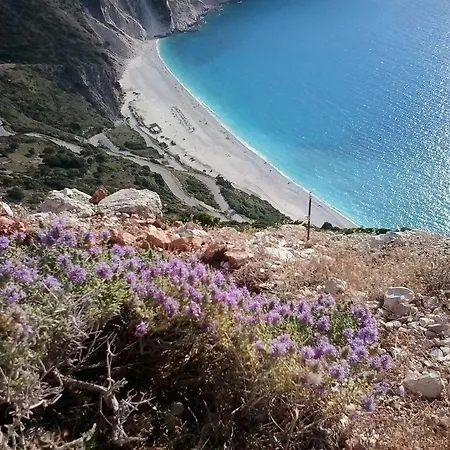 Myrtia